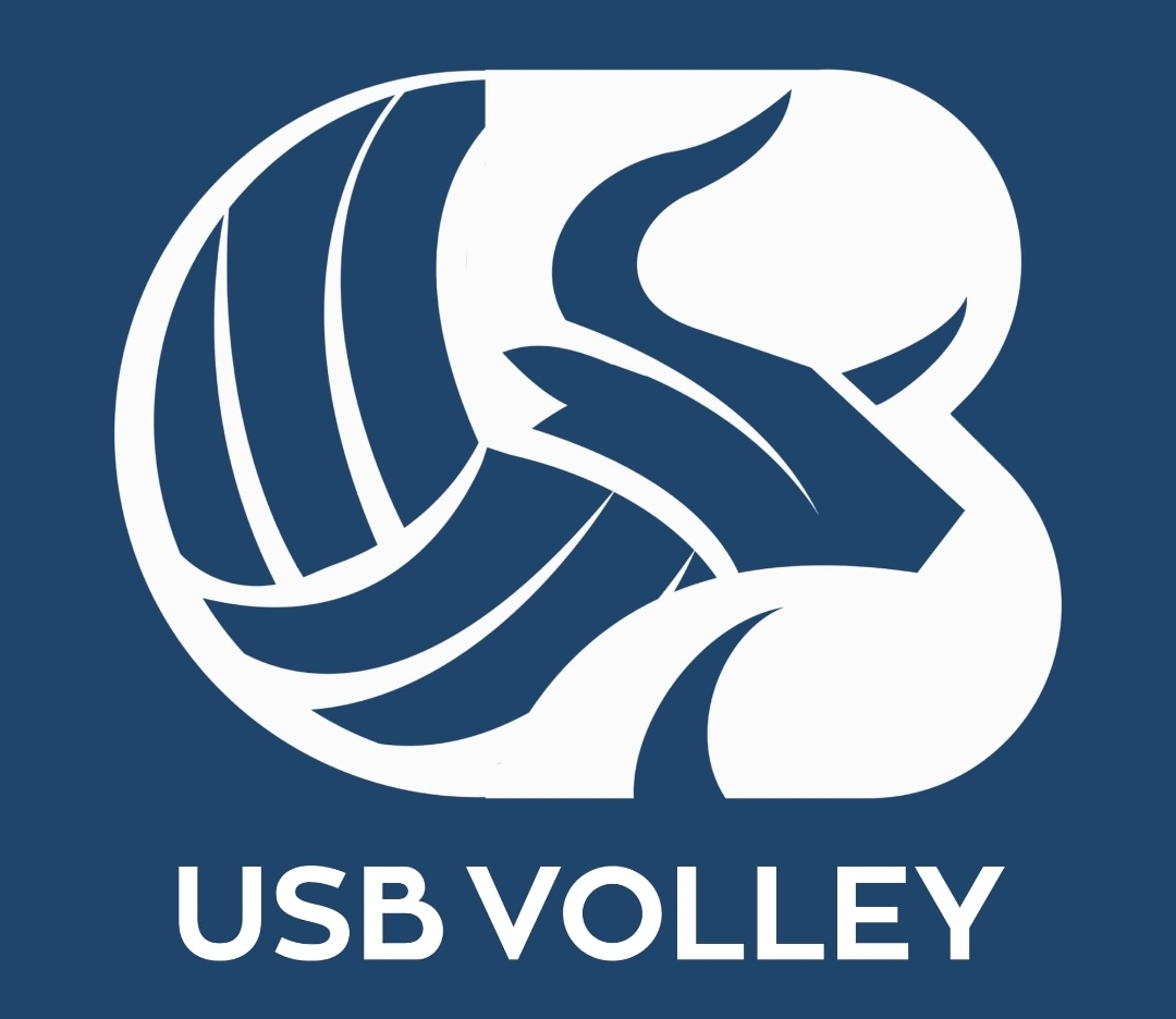 logo volley